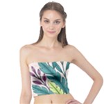 Illustrations Plants Nature Leaves Tube Top