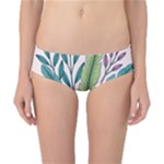 Illustrations Plants Nature Leaves Classic Bikini Bottoms