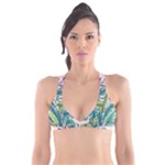 Illustrations Plants Nature Leaves Plunge Bikini Top