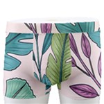 Illustrations Plants Nature Leaves Men s Boxer Briefs