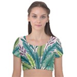 Illustrations Plants Nature Leaves Velvet Short Sleeve Crop Top 