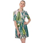 Illustrations Plants Nature Leaves Belted Shirt Dress