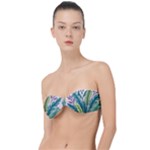 Illustrations Plants Nature Leaves Classic Bandeau Bikini Top 