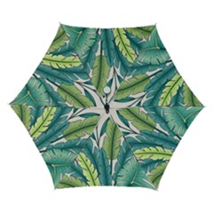 Illustrations Plants Nature Leaves Automatic Folding Umbrella with Case (Small) from ArtsNow.com