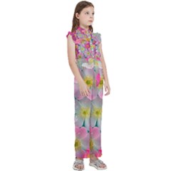 Kids  Sleeveless Ruffle Edge Band Collar Chiffon One Piece 