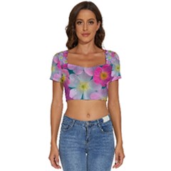 Short Sleeve Square Neckline Crop Top  