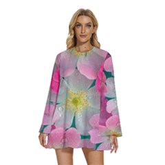 Round Neck Long Sleeve Bohemian Style Chiffon Mini Dress 