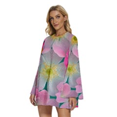 Round Neck Long Sleeve Bohemian Style Chiffon Mini Dress 