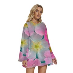 Round Neck Long Sleeve Bohemian Style Chiffon Mini Dress 