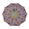 Automatic Folding Umbrella with Case (Large) 