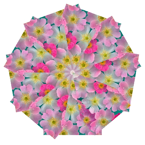 Pink Neon Flowers Flower Automatic Folding Umbrella with Case (Medium) from ArtsNow.com