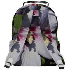 Rounded Multi Pocket Backpack 