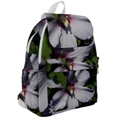 Top Flap Backpack 