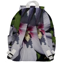 Top Flap Backpack 