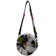 Crossbody Circle Bag 