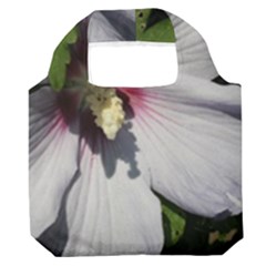 Premium Foldable Grocery Recycle Bag 