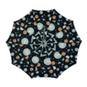 Automatic Folding Umbrella with Case (Large) 