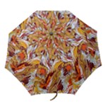 Phoenix Folding Umbrellas