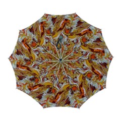 Phoenix Automatic Folding Umbrella with Case (Large) from ArtsNow.com