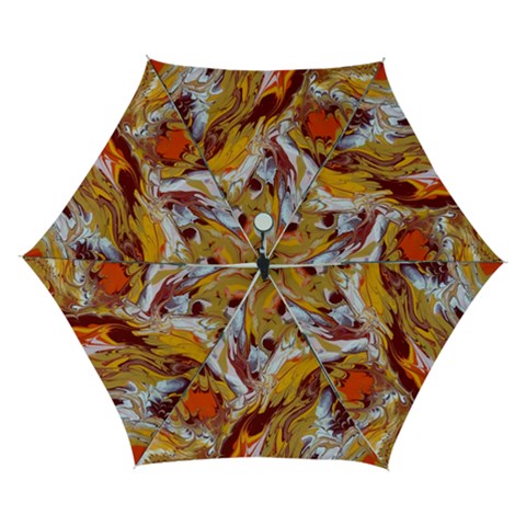 Phoenix Automatic Folding Umbrella with Case (Small) from ArtsNow.com