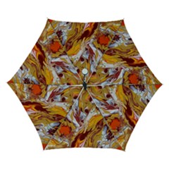 Phoenix Automatic Folding Umbrella with Case (Small) from ArtsNow.com