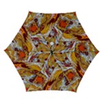 Phoenix Automatic Folding Umbrella with Case (Small)