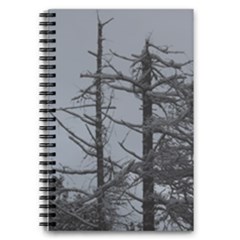 5.5  x 8.5  Notebook 