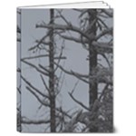 Nordic 6  x 8  Hardcover Notebook