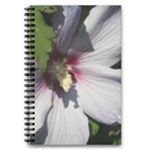 Purple Mallow Flower 5.5  x 8.5  Notebook