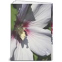 5  x 7  Hardcover Notebook 