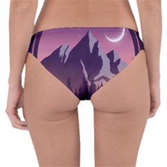 Reversible Hipster Bikini Bottoms 