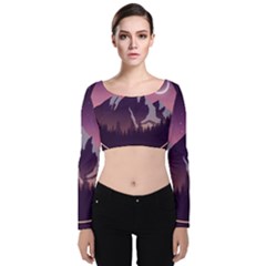 Velvet Long Sleeve Crop Top 