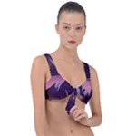 Mountain Night Crescent Moon Front Tie Bikini Top