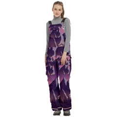 Women s Side Zip Front Pouch Ski And Snowboard Bib Pants	 