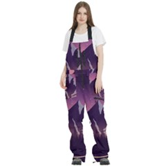 Women s Front Zip Ski And Snowboard Bib Pants 