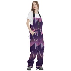 Women s Front Zip Ski And Snowboard Bib Pants 