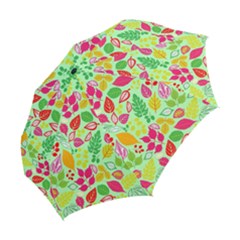 Folding Umbrella 