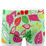 Flower Flora Floral Nature Pattern Seamless Men s Boxer Briefs