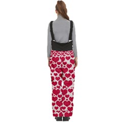 Women s Side Zip Front Pouch Ski And Snowboard Bib Pants	 