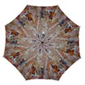 Automatic Folding Umbrella with Case (Medium) 