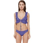 Blue Tartan Plaid 1 Low Cut Ruffle Edge Bikini Set