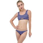 Purple Plaid Tartan 1 The Little Details Bikini Set