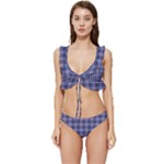 Purple Plaid Tartan 1 Low Cut Ruffle Edge Bikini Set