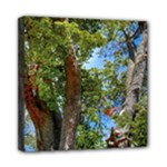 Patagonian Forest Trees Close-up, Rio Negro Province, Patagonia, Argentina Mini Canvas 8  x 8  (Stretched)