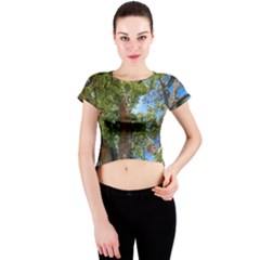 Crew Neck Crop Top 