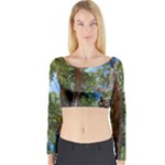 Patagonian Forest Trees Close-up, Rio Negro Province, Patagonia, Argentina Long Sleeve Crop Top