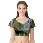 Patagonian Forest Trees Close-up, Rio Negro Province, Patagonia, Argentina Short Sleeve Crop Top