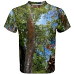 Patagonian Forest Trees Close-up, Rio Negro Province, Patagonia, Argentina Men s Cotton T-Shirt