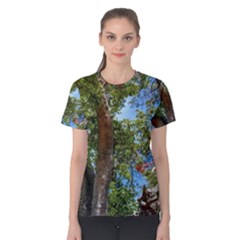 Women s Cotton T-Shirt 