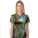 Patagonian Forest Trees Close-up, Rio Negro Province, Patagonia, Argentina V-Neck Sport Mesh T-Shirt